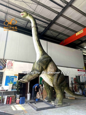  Realistic Long Neck Brachiosaurus Dinosaur Model For Jurassic Park
